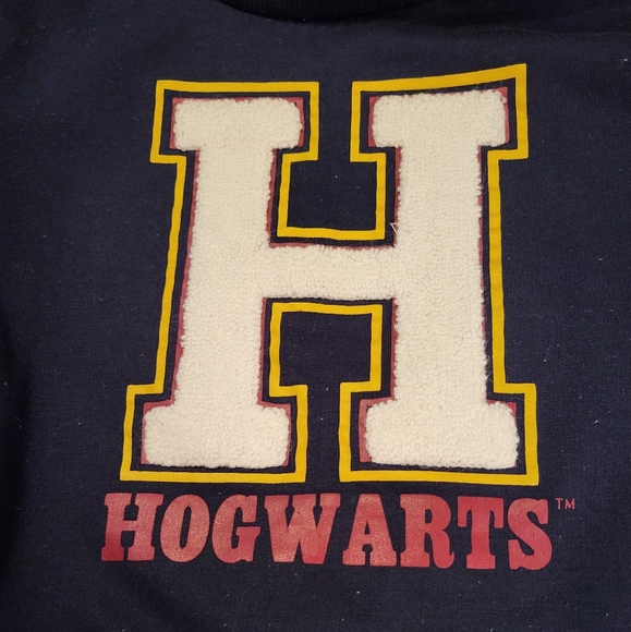 Harry Potter Hogwarts navy sweatshirt - Picture 4 of 5